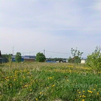 Ломоносовский район, Гостилицкое с/пос, Южный Версаль кп 210 